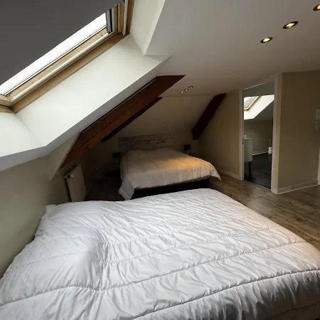 La Bourboule, 4 Pieces, 8 Personnes - Fr-1-667-9 Appartement